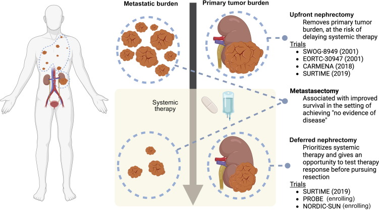 Steven Monda (@monda_steven) on Twitter photo What is the evidence for resection in metastatic RCC? Read our mini-review in <a href="/EurUrolFocus/">Eur Urol Focus</a> TLDR; see Figure 1- below. sciencedirect.com/science/articl… <a href="/theusinghal/">Udit Singhal, MD</a>
<a href="/samsimsal/">Simpa Salami</a>
<a href="/wandering_gu/">Todd 〽️ Morgan, MD</a>
<a href="/DrVaishampayan/">Ulka Vaishampayan</a> What is the evidence for resection in metastatic RCC? Read our mini-review in <a href="/EurUrolFocus/">Eur Urol Focus</a> TLDR; see Figure 1- below. sciencedirect.com/science/articl… <a href="/theusinghal/">Udit Singhal, MD</a>
<a href="/samsimsal/">Simpa Salami</a>
<a href="/wandering_gu/">Todd 〽️ Morgan, MD</a>
<a href="/DrVaishampayan/">Ulka Vaishampayan</a>