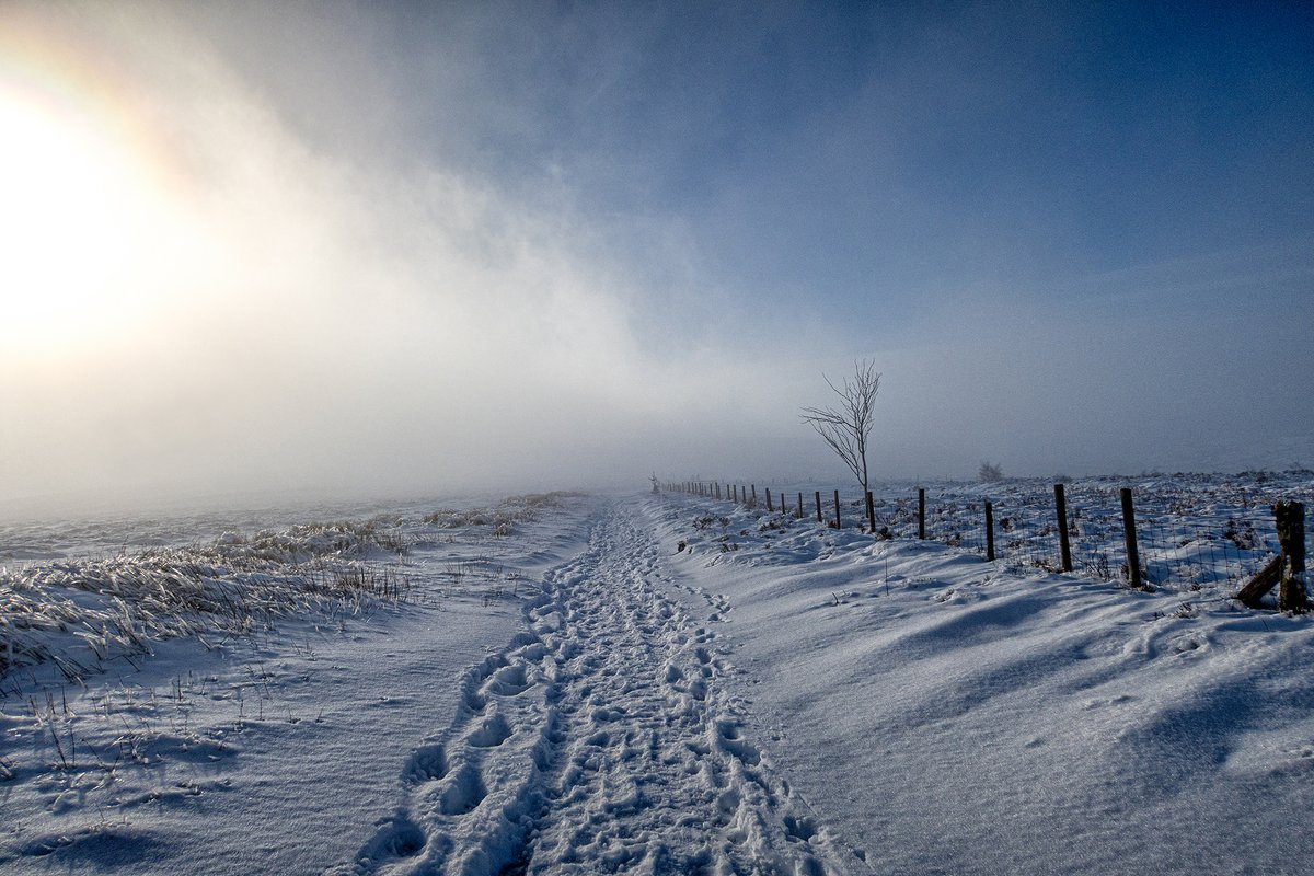 #134 Cyrn-y-Brain, Llangollen 12/01/2025.

A very different day 4 months ago in the hills above Llangollen. Snow, mist and some cracking light it was a really fun walk.

#photography #snow #wales