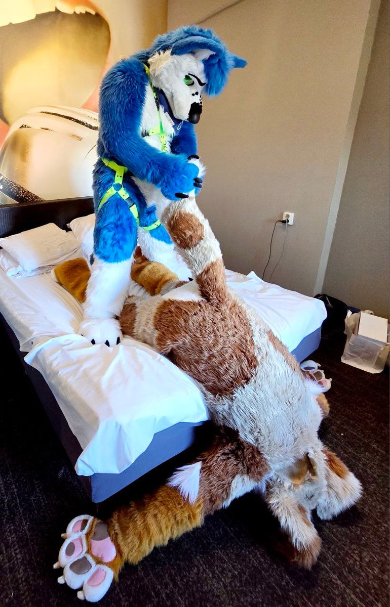 Lexie Doggo tweet media