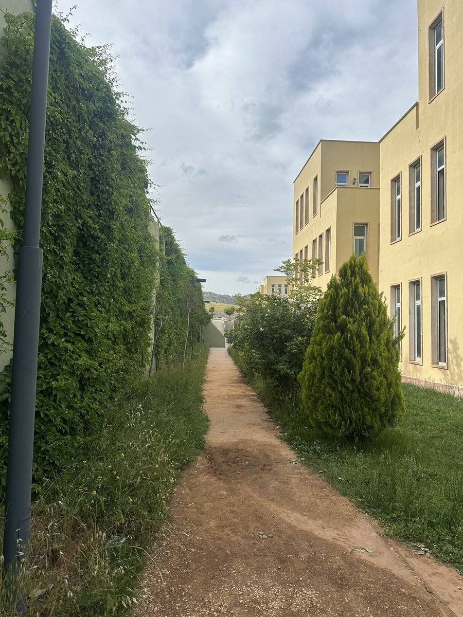 Aynı yer, farklı mevsim… <a href="/mardinartuklu/">Mardin Artuklu Üniversitesi</a>