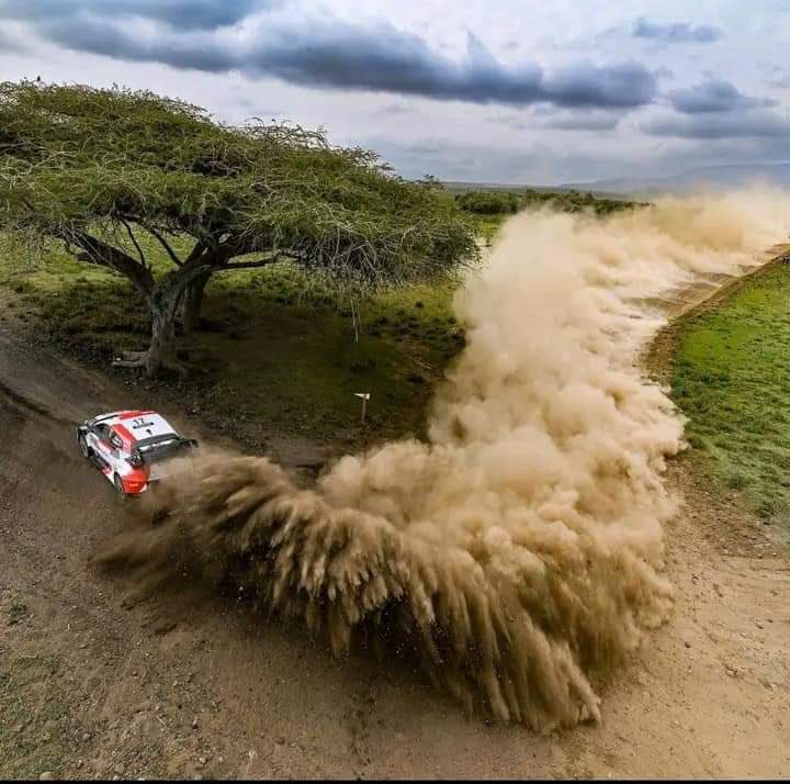 TweetsbyHenry's tweet image. Everything is negative, maybe let’s check for HIV too. 

Patient: