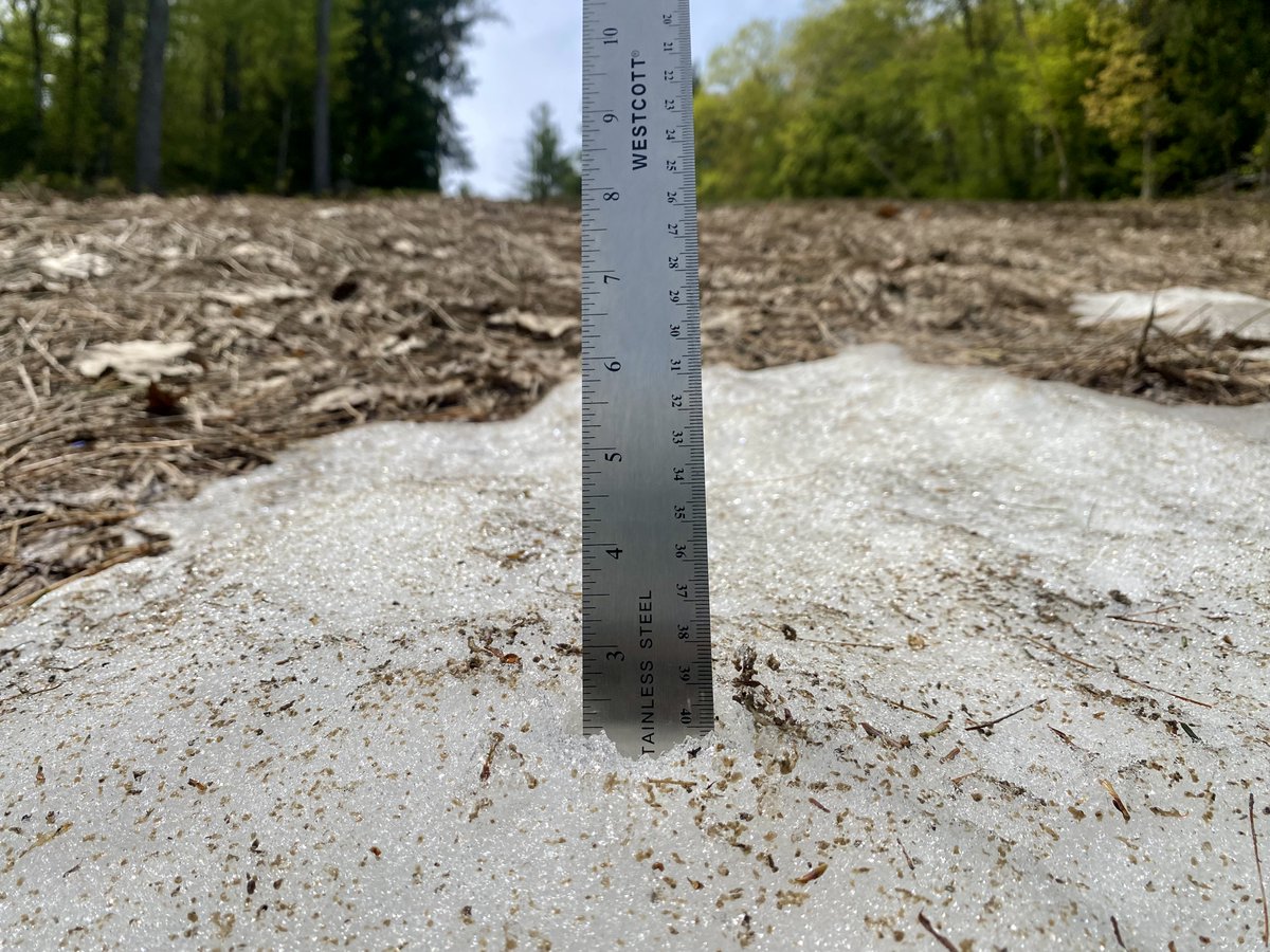 KingPineSkiArea's tweet photo. SNOW REPORT - Tuesday, May 15, 2025
🌤️: Partly Sunny with a high of 68 degrees
📏: 2" Variable
🎟️: Lowest Available Season Pass Rates for the 2025-26 Season now through May 31!
Visit https://t.co/2kNfAAij2p for more info and to purchase today! #LowestRate #SpringFever #SkiNH 😁 https://t.co/b5UJmN56xe