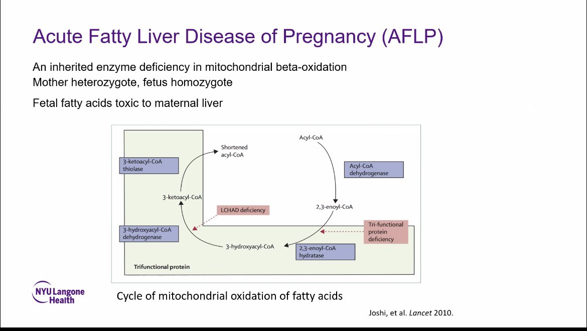 UMN Transplant Hepatology Fellowship (@umn_txhep) on Twitter photo Former UM Fellow and current NYU Hepatologist <a href="/raiyasarwar/">Raiya Sarwar, MD</a> presenting transplant didactic today on pregnancy and liver disease! Former UM Fellow and current NYU Hepatologist <a href="/raiyasarwar/">Raiya Sarwar, MD</a> presenting transplant didactic today on pregnancy and liver disease!
