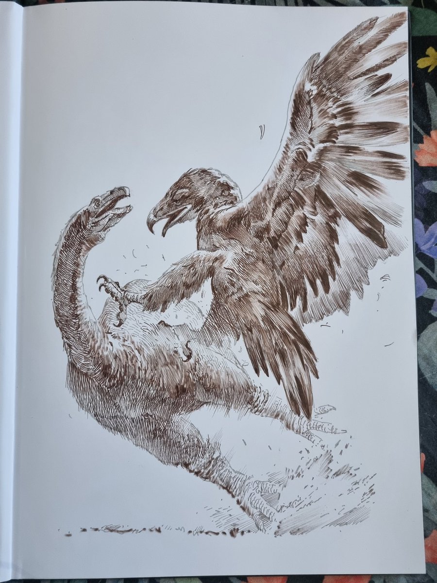 Artbook sketch for buyer in New Zealand so inevitably had to do Death From Above - a Haast's eagle bowling over a moa.

Books still available!