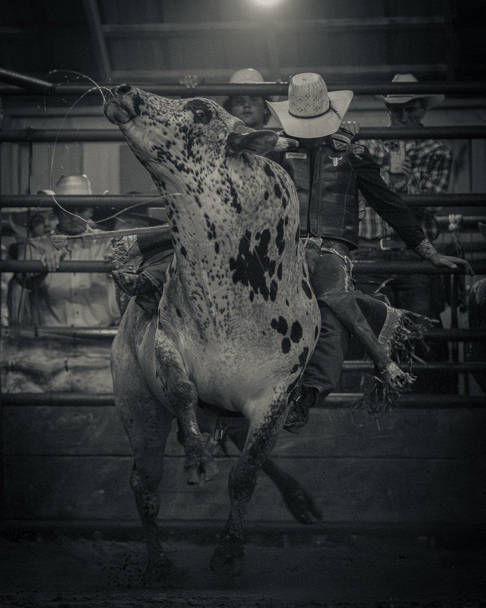 GoldRushNathan's tweet image. America!!!! #BullRiding #BlackAndWhite #RodeoVibes #Western  #Monochrome #RoughStock #CowboyLife #RodeoSeason #BWPhotography #BullRider @PBR