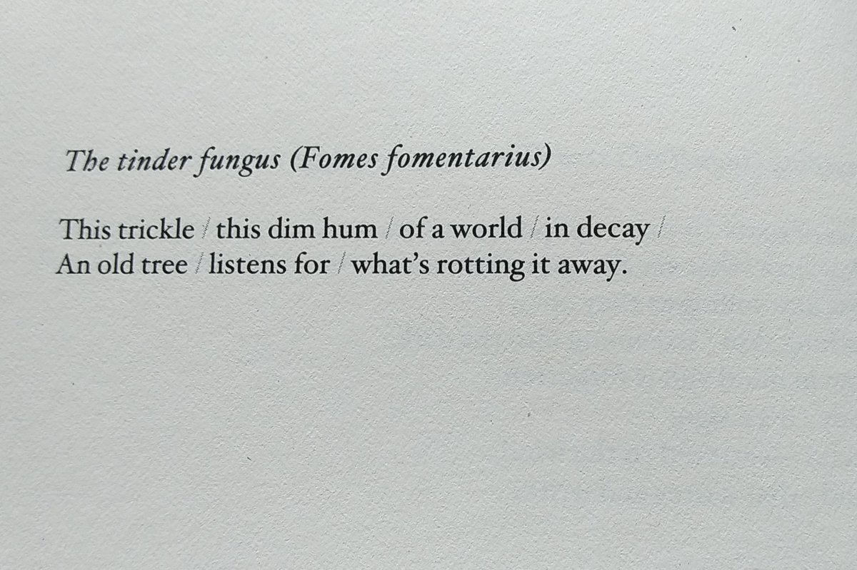 Greg Kindall (@gregorykindall) on Twitter photo I read Wickerwork, by Christian Lehnert (Archipelago Books, 2025). Poems selected from three recent collections (2015-2022), translated by Richard Sieburth.
Many entries reminded me of Old Norse/English kennings and riddles, but more science-y.
<a href="/archipelagobks/">Archipelago Books</a> I read Wickerwork, by Christian Lehnert (Archipelago Books, 2025). Poems selected from three recent collections (2015-2022), translated by Richard Sieburth.
Many entries reminded me of Old Norse/English kennings and riddles, but more science-y.
<a href="/archipelagobks/">Archipelago Books</a>