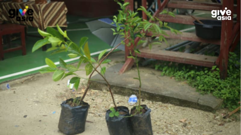 BasedBrett's tweet photo. Reforestation starts with Brett x Invest Islands Foundation 🌳

More than 100 participants, including government agencies, stakeholders, local communities, students, and residents,  participated in a tree planting event in the Gunung Bongak Ecotourism Area, Indonesia. 

A total of 3,000 sengon and tabebuya tree seedlings were successfully planted on 96 hectares of land. 

Let's increase public awareness of the importance of the role of trees in maintaining environmental sustainability and ecology.