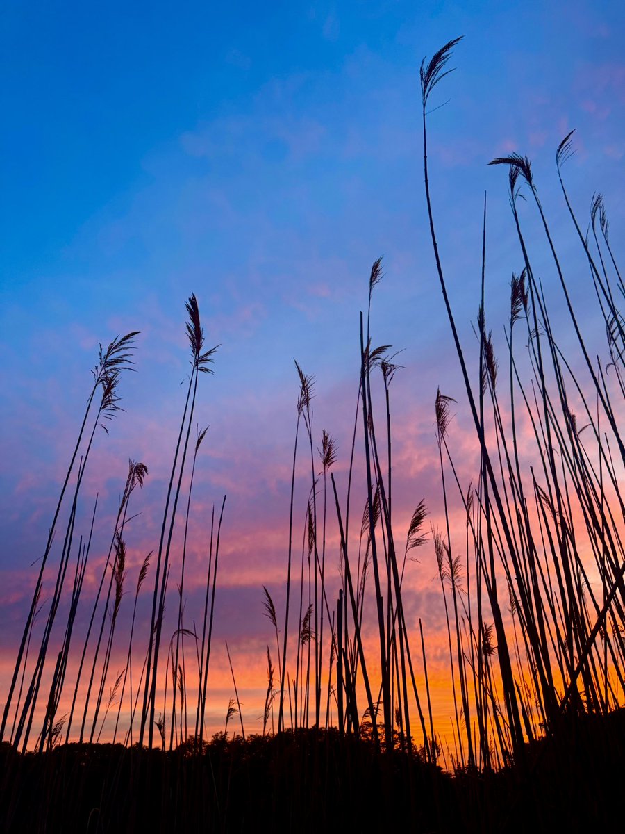 Good start #morning #sunrise #connecticut #newengland #narure #spring