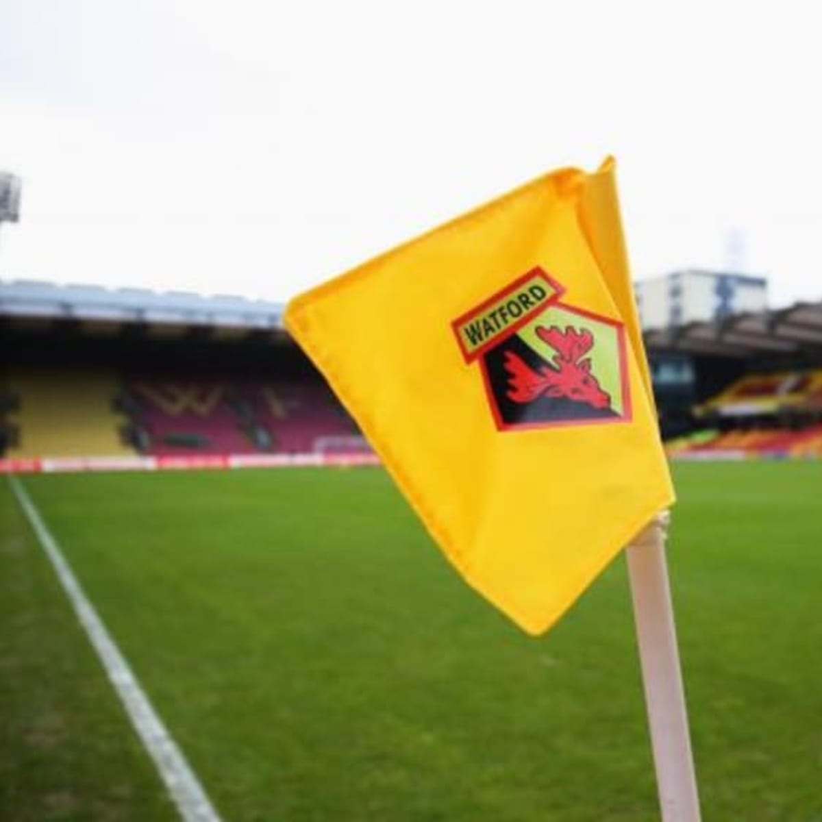 <a href="/WatfordFC/">Watford Football Club</a> <a href="/papapezzolano/">Paulo Pezzolano</a> 25th September after losing away to Wrexham.

"Watford FC have parted ways with Paulo Pezzolano. We wish him all the best."
