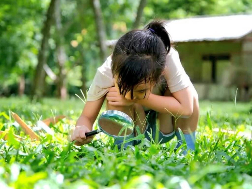 ⚔️🏴𝐇𝐢𝐫𝐤𝐚𝐧 (𐂂) tweet media