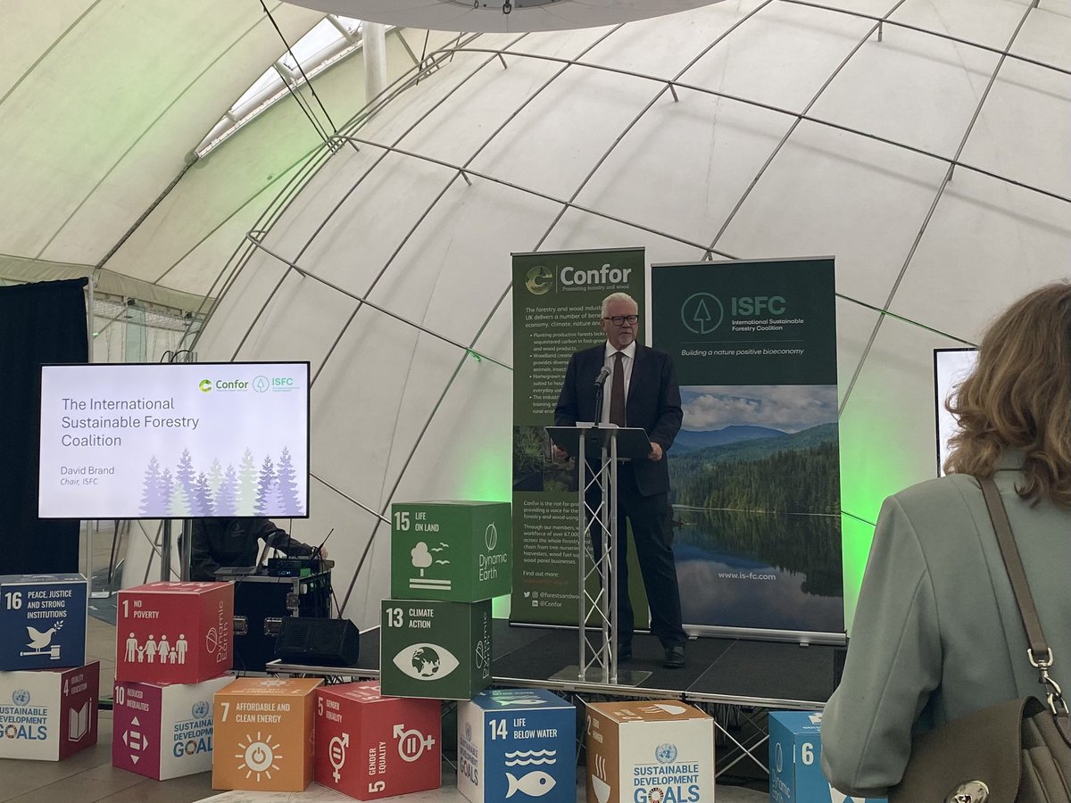 “I think there’s a recognition these days that across climate, nature and desertification, forestry is the thing that cuts along those goals,” says David Brand, ISFC Chair, talking about forestry’s role in global sustainability.