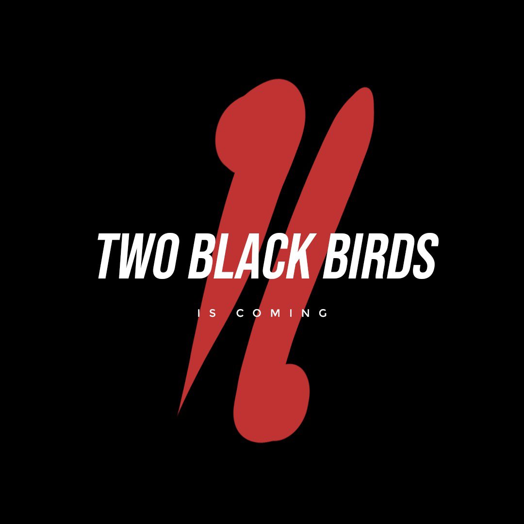iamchinaz's tweet photo. A New Wave Of Sound Is Rising Feel It, Follow It, Or Fade Out...🔊

#TwoBlackBirdsIsComing…💪🏼🔥 https://t.co/DsS0GUjasD