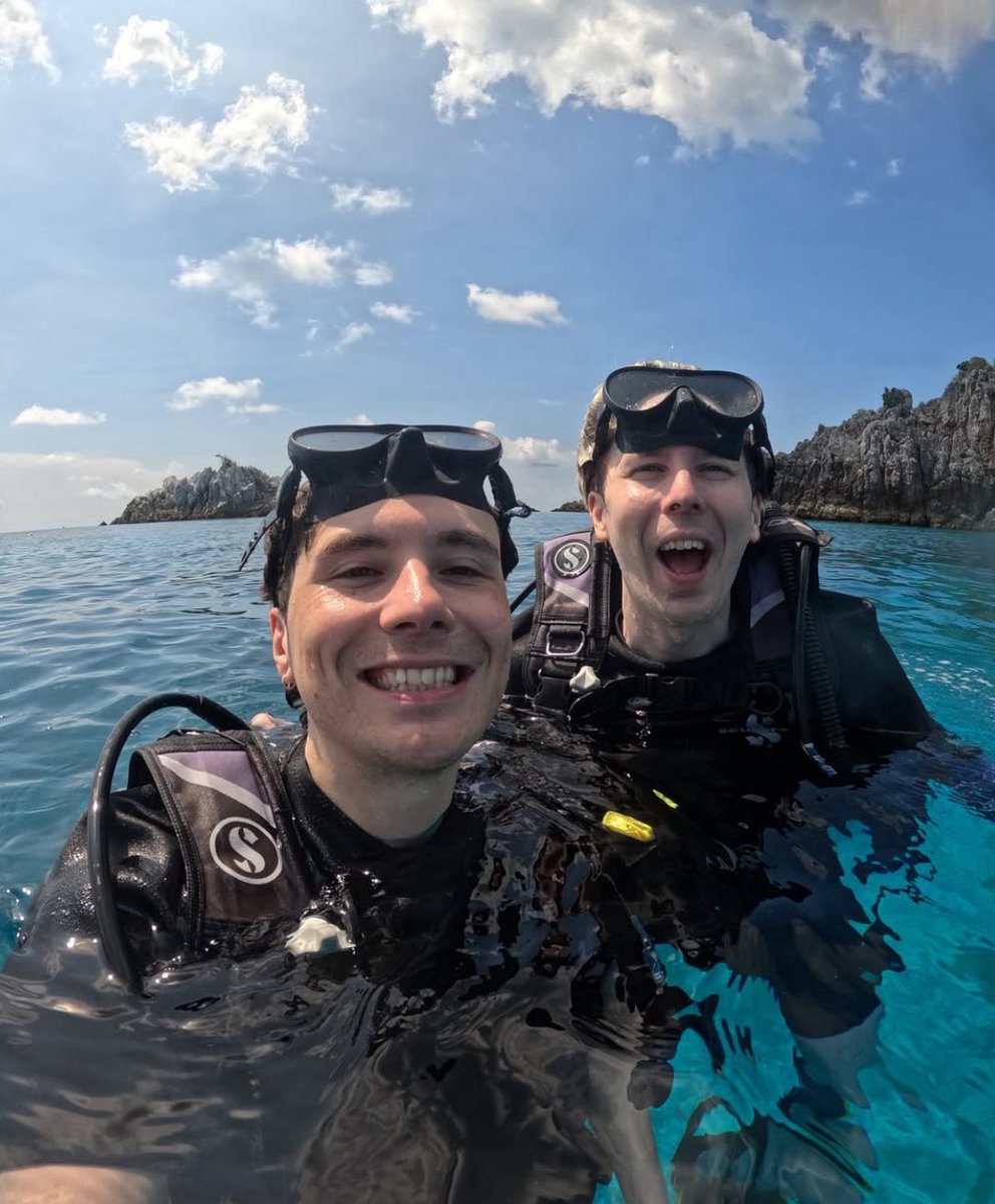 g0ldenphig_'s tweet image. 