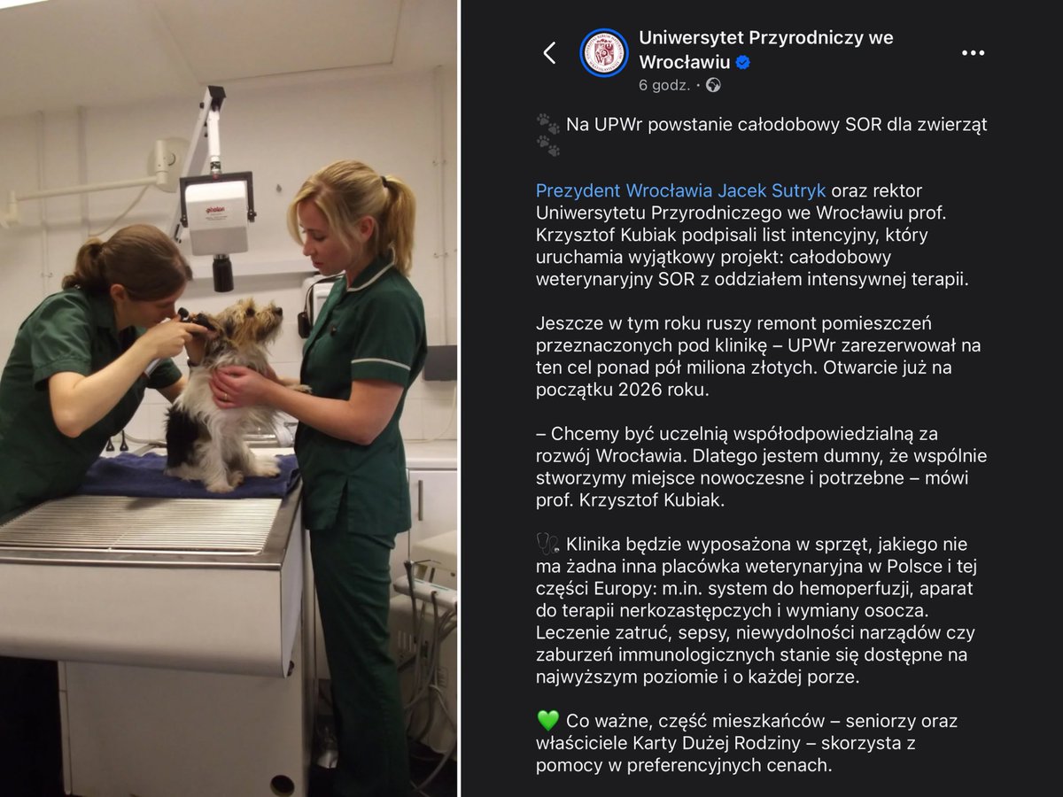 Na Uniwersytecie Przyrodniczym we Wrocławiu powstanie całodobowy SOR dla zwierząt z oddziałem intensywnej terapii.

Klinika ma być otwarta z początkiem przyszłego roku.