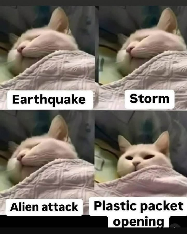 Exactly! 😂😂