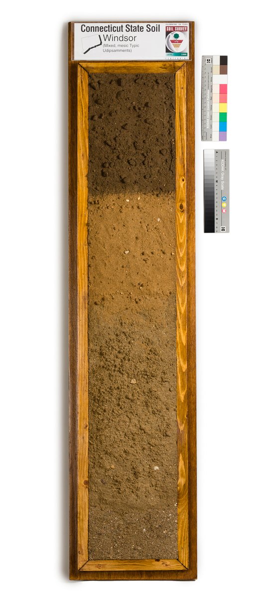 DYK every state has an official state soil? From Antigo to Windsor and every soil in between, each is unique to the location where it formed. What is your state soil? If you don’t know, find out at nrcs.usda.gov/resources/educ…