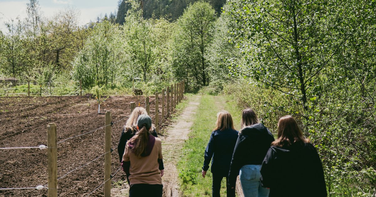 Kick off your summer bucket list! ☀️ If you're looking to make the most of the sunny season, we've put together a handy guide to some of our favourite road trip destinations in the Fraser Valley. Check it out here! thefraservalley.ca/3-family-stayc… 

📸 4: Robyn Bessenger