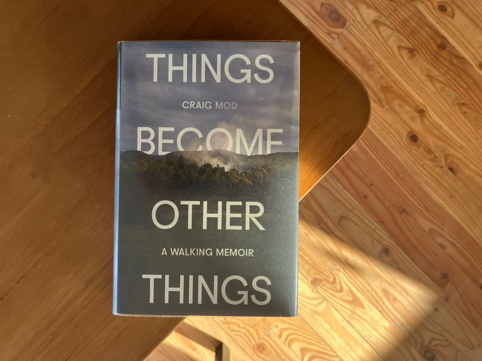 Things Become Other Things — Available Now! — Ridgeline