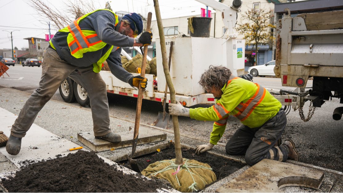 News release: Vancouver Park Board approves updated Urban Forest Strategy: bit.ly/3F7Ph4c