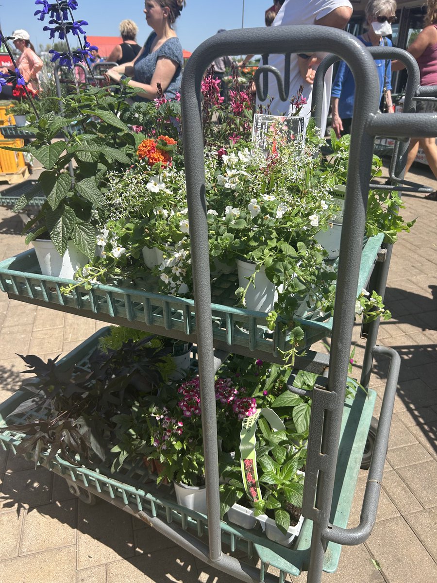 Jan Unstad tweet media