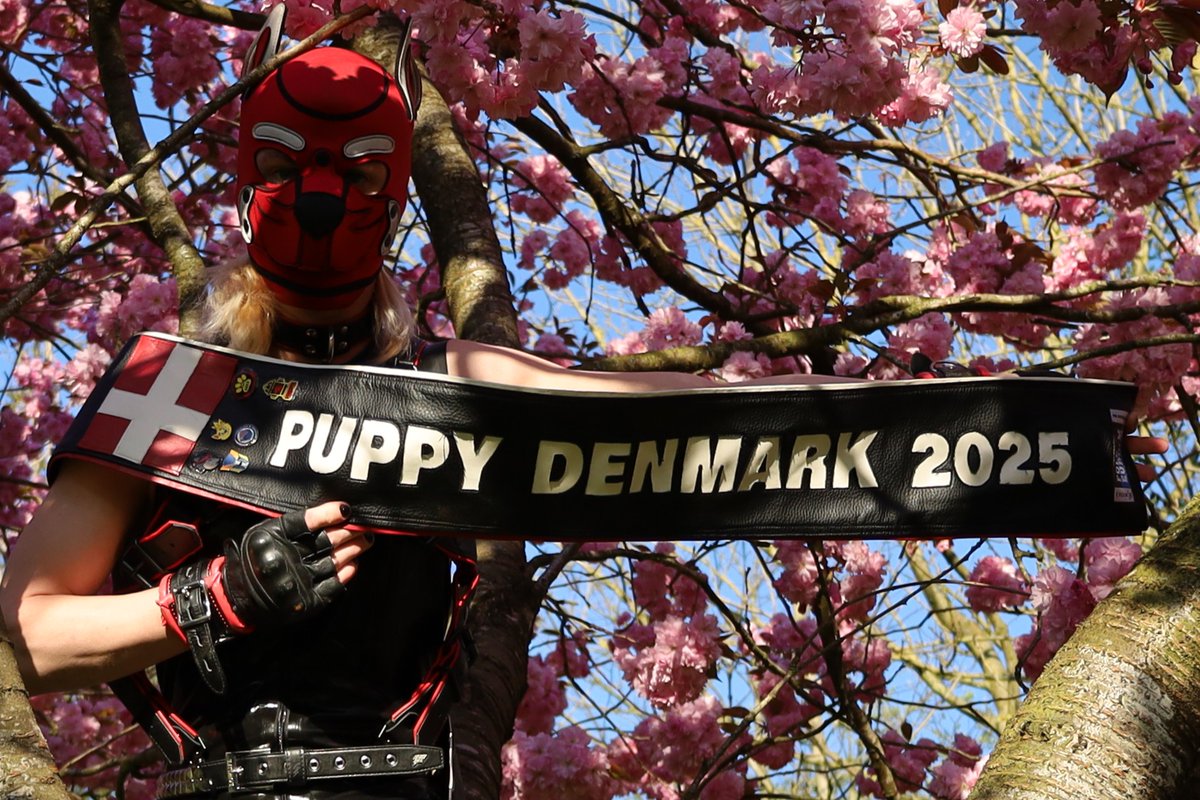 The Summer are near and the Danish Puppy Denmark election are coming closer :D The 6th of sep 2025 :P 
It will be held at  Frølageret, Farvergården 7, 5000 Odense C, Denmark :D Tickets:  bit.ly/4i36Ek7 ❤️More details later 
<a href="/ReconNews/">Recon</a>  <a href="/BOXERBARCELONA/">BOXER BARCELONA</a>  <a href="/SMaarhus/">SLMaarhus</a>  <a href="/SLMcph/">SLM Copenhagen</a>