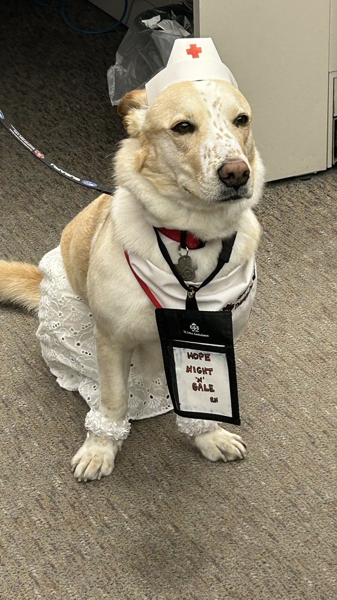 Great to tour <a href="/HamHealthSci/">Hamilton Health Sciences</a> Juravinski Cancer Centre with Hope Nightingale this afternoon celebrating Nurses Week. Of course Hope stole the show in all of our clinics, research and treatment areas.