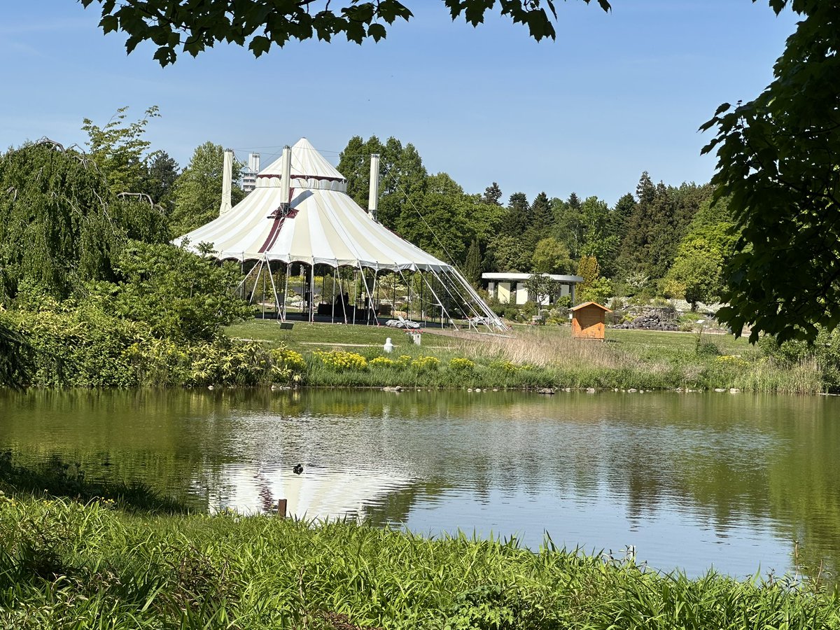 Dominik Begerow tweet media