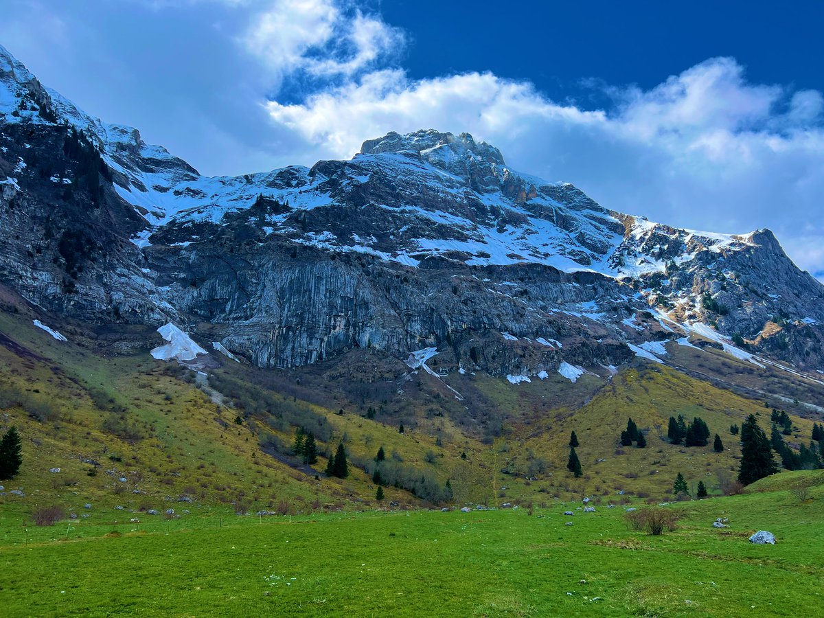 Good morning everyone!

Being ahead doesn’t mean you’re done.
It means you believed earlier.
You built when no one was watching.
Now, you just keep building.

Have a great day!