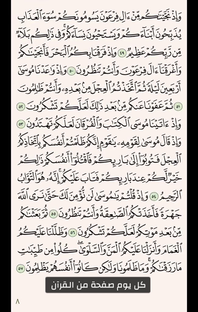 Moon🧚‍♀️ tweet media