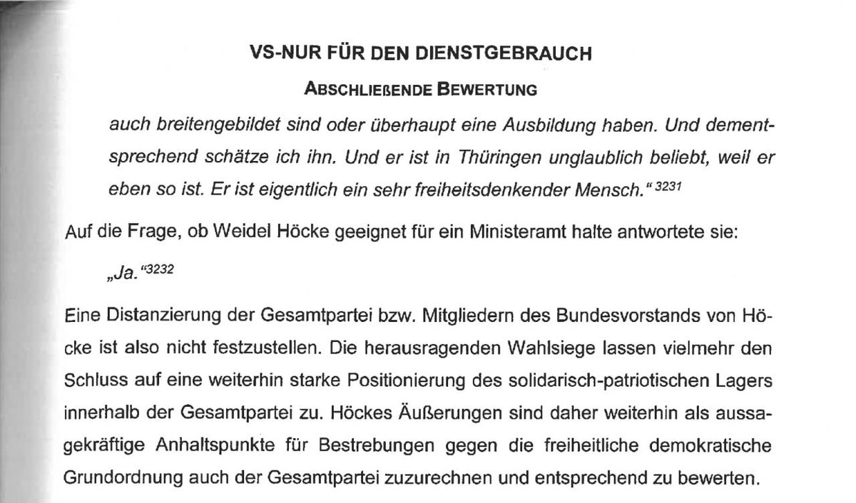 »Alice Weidel gibt Björn Höcke das Ja-Wort!«