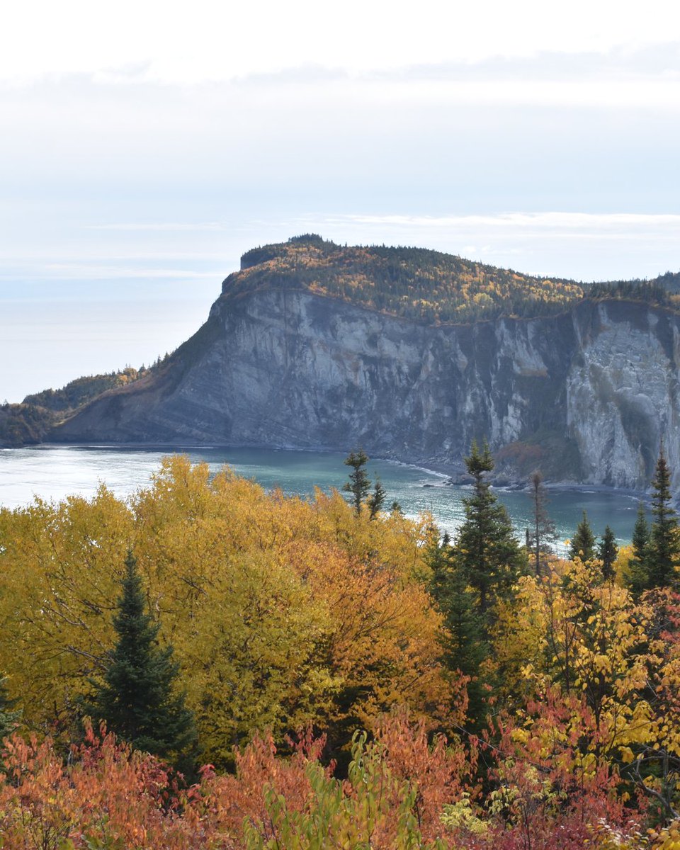 Depuis 3 ans, Prescri-Nature a fait ses preuves ! 🥳⁠

De plus en plus de professionnels de la santé ont rejoint le mouvement Prescri-Nature pour le bénéfice de la population à travers le Canada. ⁠