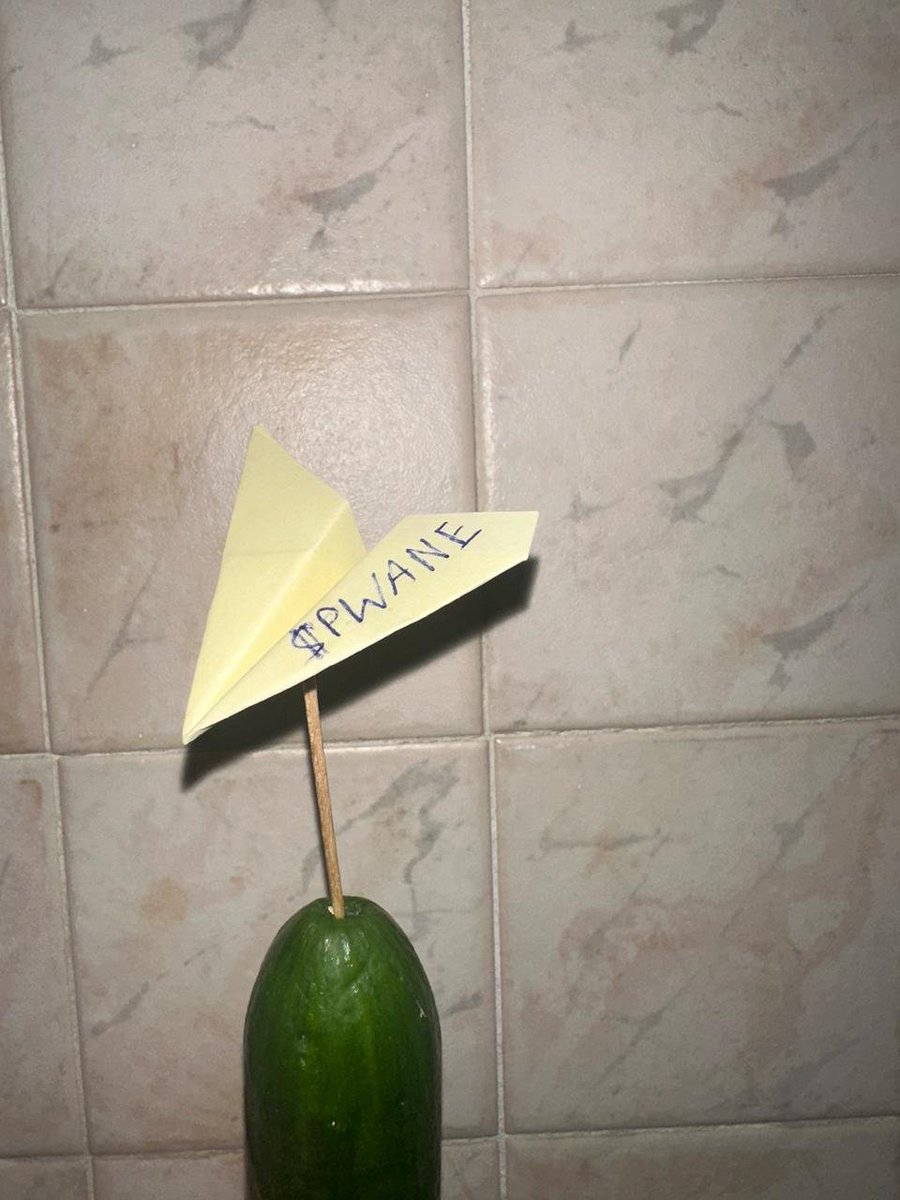 pwaperpwane's tweet photo. This community pwaper pwane is dope!

$PWANE
5jJX6KAjhfXh5mG1EspL8YbdeggAFEPbh3PfLN23pump

Like and RT to spread!
https://t.co/ytEagfFZGt

#JustFoldIt https://t.co/zOk0HKjylN