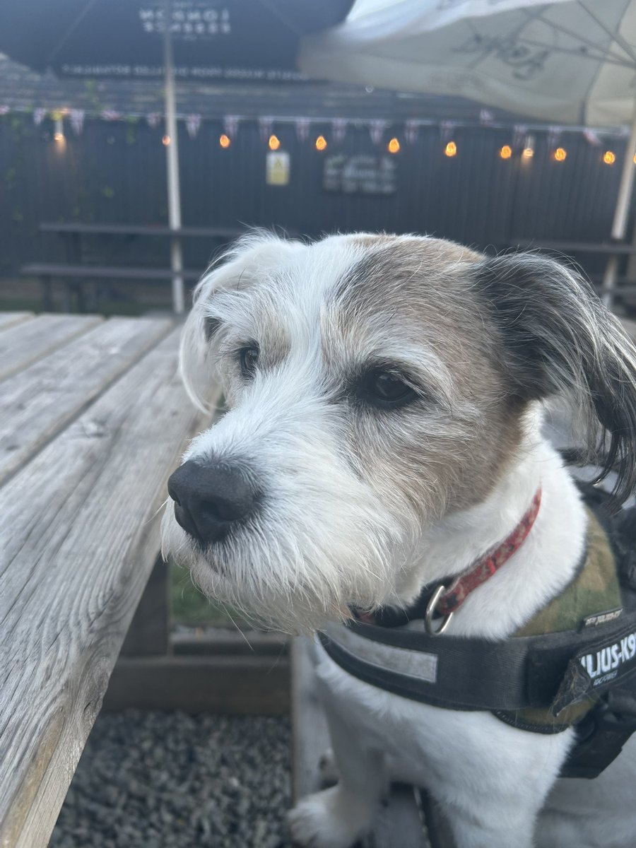 A spontaneous visit to an establishment 🥂