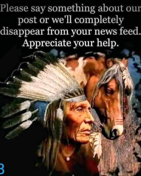 Native American Pride tweet media