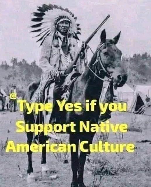 Native American Pride tweet media