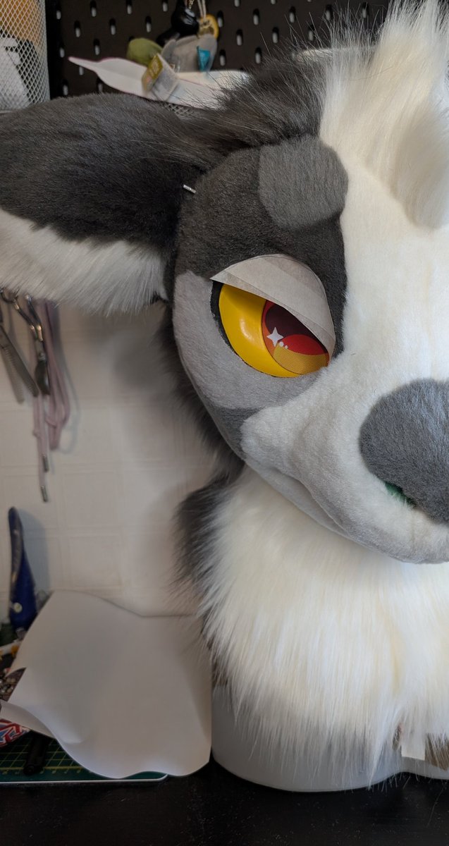 Cottontail_workshop tweet media