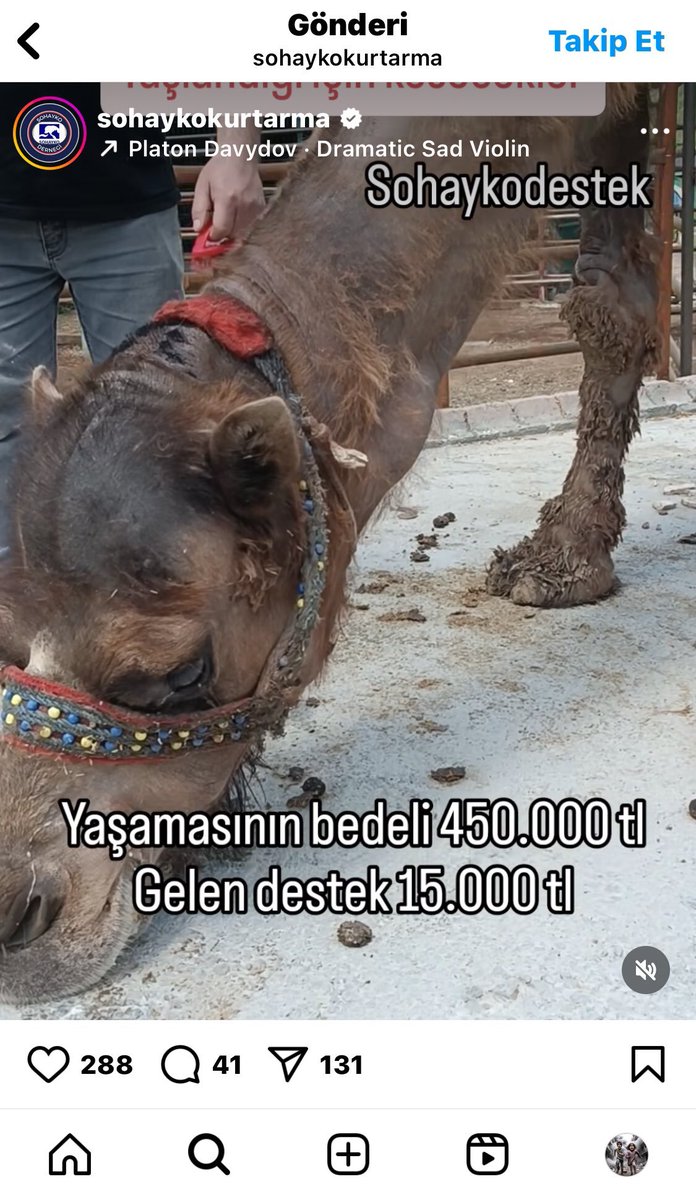 Bir tane savcı artık çıkıp şu toplanan paraların hesabını sorsun.