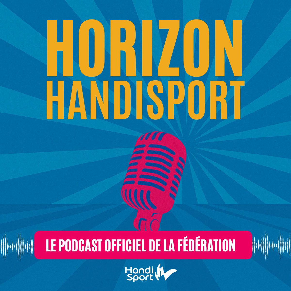 FFHandisport tweet picture