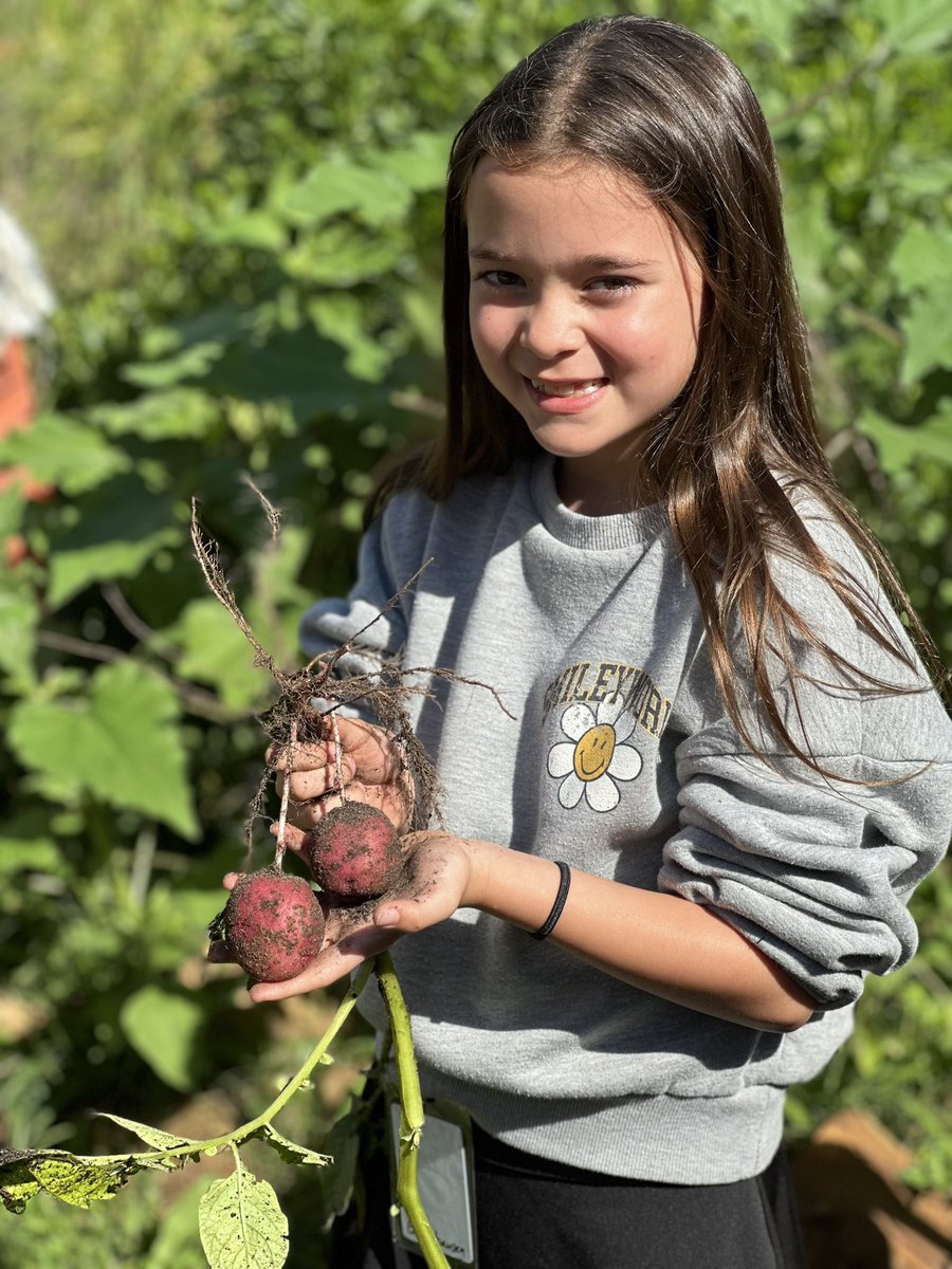 Ready to Grow Garden (@readygrowgarden) on Twitter photo <a href="/SampsonElem/">Sampson Elementary</a> Last Garden Day for 2nd Grade and we are BUSY! Potato π₯ harvest, painting π¨and a final carrot harvest π₯ <a href="/CyFairISD/">Cypress-Fairbanks ISD</a> <a href="/SampsonPTO/">Sampson PTO</a> <a href="/SampsonElem/">Sampson Elementary</a> Last Garden Day for 2nd Grade and we are BUSY! Potato π₯ harvest, painting π¨and a final carrot harvest π₯ <a href="/CyFairISD/">Cypress-Fairbanks ISD</a> <a href="/SampsonPTO/">Sampson PTO</a>