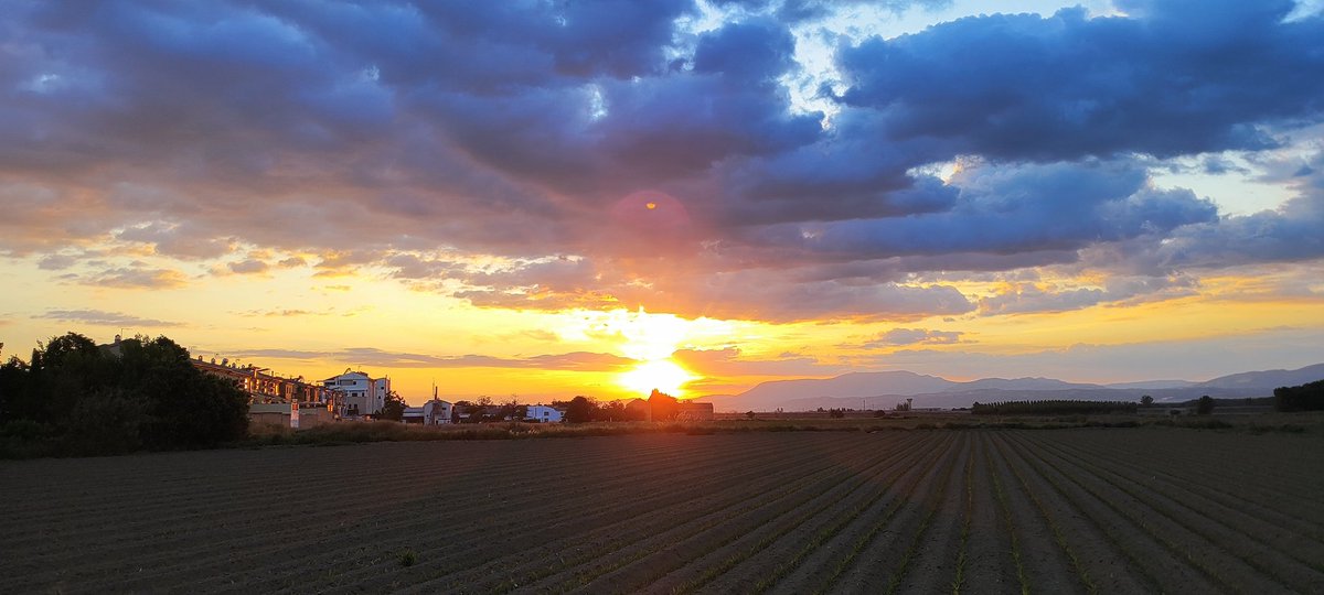 De locos el atardecer de hoy en la Vega de Granada