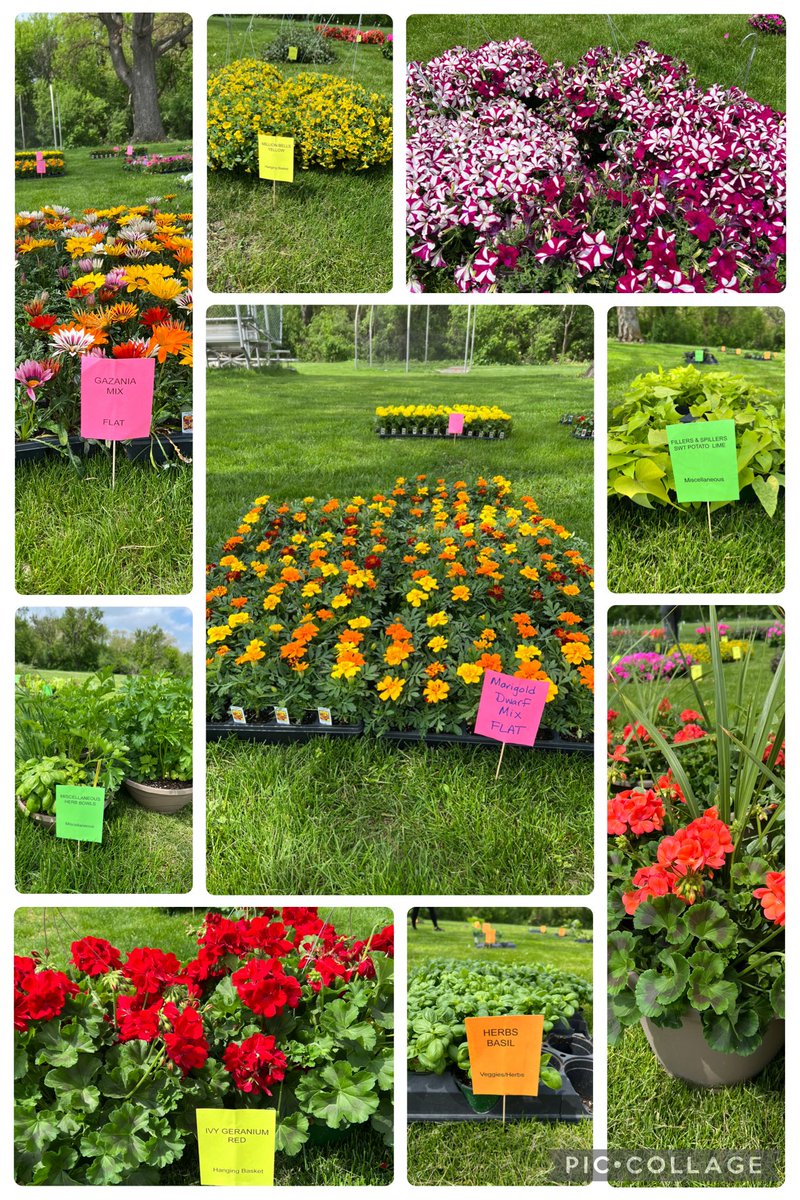 FLOWER PICK UP DAY-Orders are ready if you want to come early to pick up! Pick up until 5:30