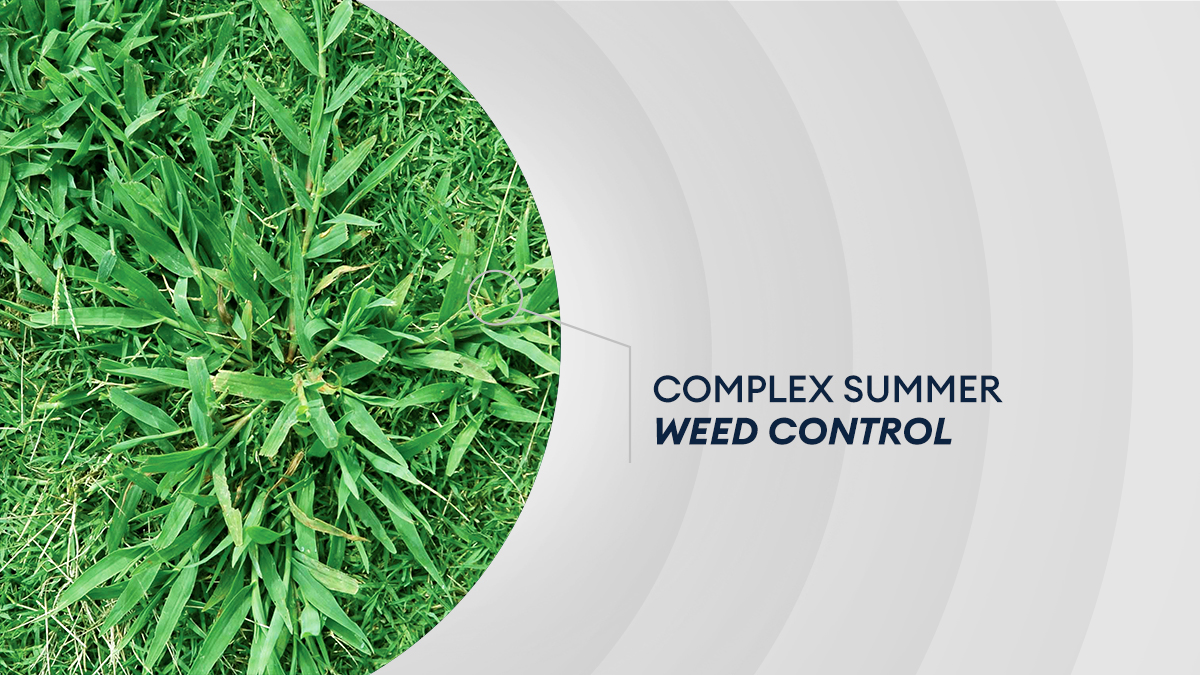 Reading herbicide label precautions is crucial for maximizing control and limiting potential turf damage in the summertime. For more Talking Turf tips, check out the full article. bit.ly/3YbL1ad