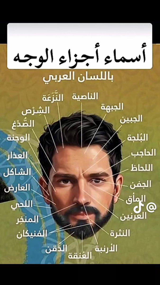 للفائدة :

أسماء أجزاء الوجه ⁉️