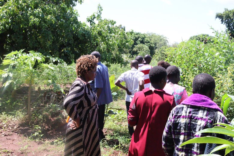 NCCK Upper Eastern (@ncckupper) on Twitter photo On May 13, 2025, 10 participants (3 men, 7 women) including agronomists and farmers visited Marimanti, Tharaka Nithi County for an internal exposure visit on Conservation Agriculture (CA). #ClimateSmart <a href="/Foodgrains/">Canadian Foodgrains Bank</a> <a href="/UnitedChurchCda/">United Church Canada</a> On May 13, 2025, 10 participants (3 men, 7 women) including agronomists and farmers visited Marimanti, Tharaka Nithi County for an internal exposure visit on Conservation Agriculture (CA). #ClimateSmart <a href="/Foodgrains/">Canadian Foodgrains Bank</a> <a href="/UnitedChurchCda/">United Church Canada</a>
