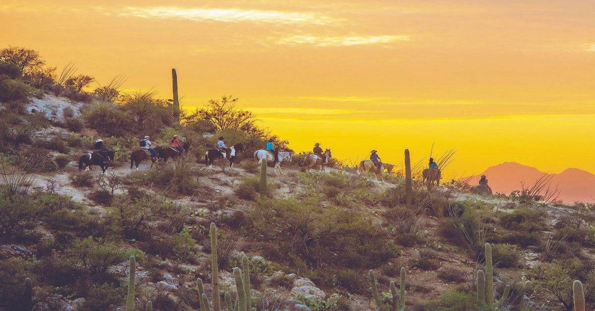 connectmeetings's tweet image. Meeting in Tucson means wide-open spaces that reach far beyond the ballroom. And with some of the best incentives in the industry, our team is able to provide a turn-key experience that will make your meeting shine.
tucsononus.com
#visittucson #tucson