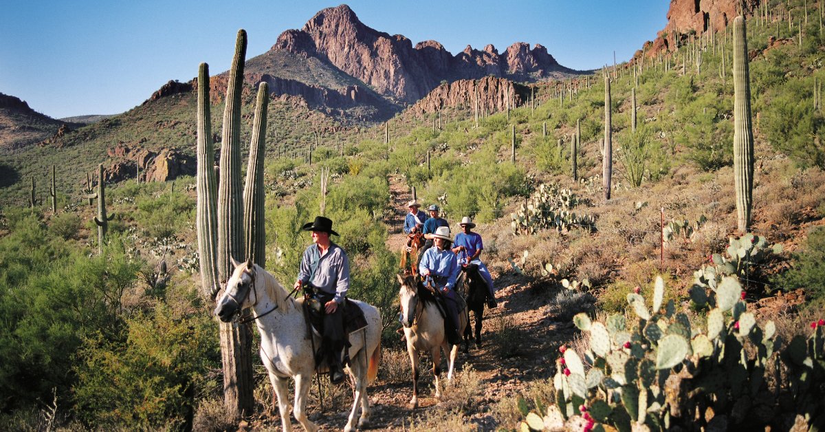 connectmeetings's tweet image. Meeting in Tucson means wide-open spaces that reach far beyond the ballroom. And with some of the best incentives in the industry, our team is able to provide a turn-key experience that will make your meeting shine.
tucsononus.com
#visittucson #tucson