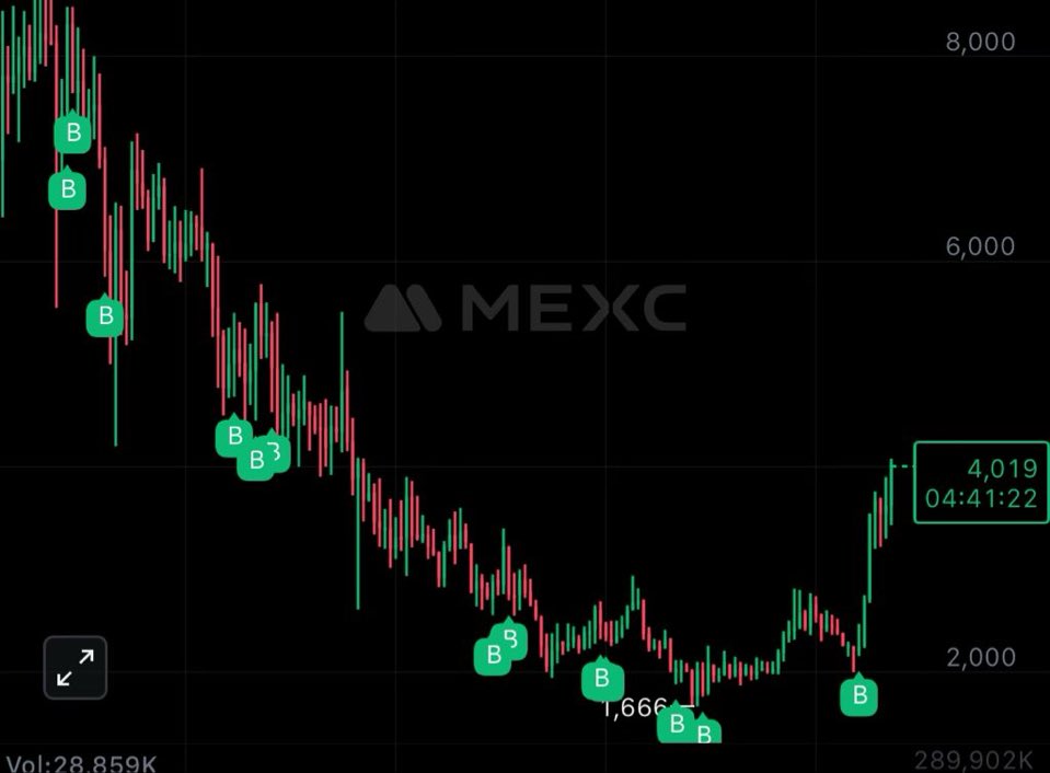 you can’t easily defeat someone who truly believes

$NST