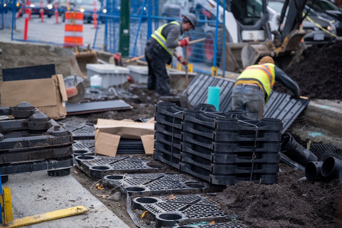 iconixww's tweet image. Excited to see this project featuring DeepRoot Silva Cells &amp;amp; Root Barriers come to life! 🌳💧These systems create space for healthy root growth while protecting sidewalks and underground utilities — helping us build greener, longer-lasting urban landscapes

#SilvaCells #DeepRoot