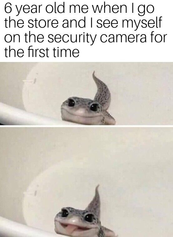 WholesomeMemes tweet media