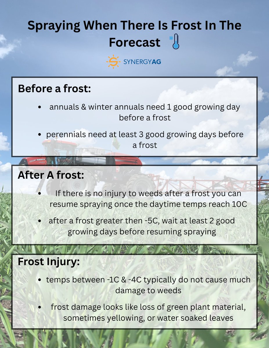 With less then ideal weather conditions for the rest of the week ⛈, knowing when and if to spray can impact herbicide efficacy and weed control. 
If you have any questions about spraying before or after a frost, talk to your #SynergyAg rep.
#rootsyoucancounton